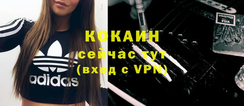 COCAIN Боливия Кузнецк