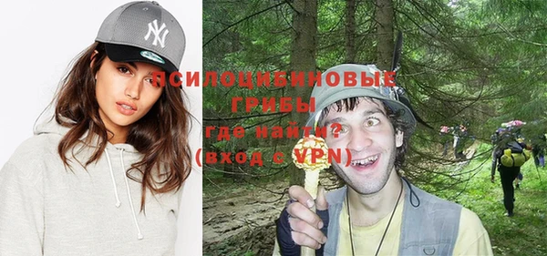 PSILOCYBIN Новокубанск