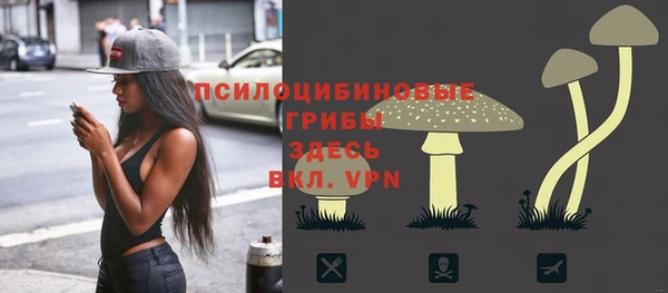 PSILOCYBIN Новокубанск