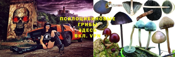 круглые Новозыбков