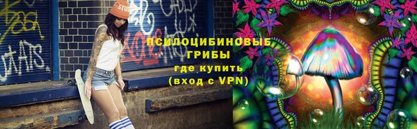 PSILOCYBIN Новокубанск