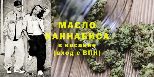 гашик Болотное