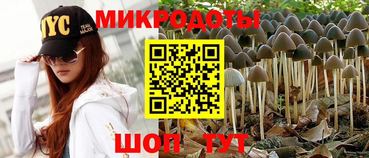 Псилоцибиновые грибы Psilocybe  Вход с VPN  Кузнецк 