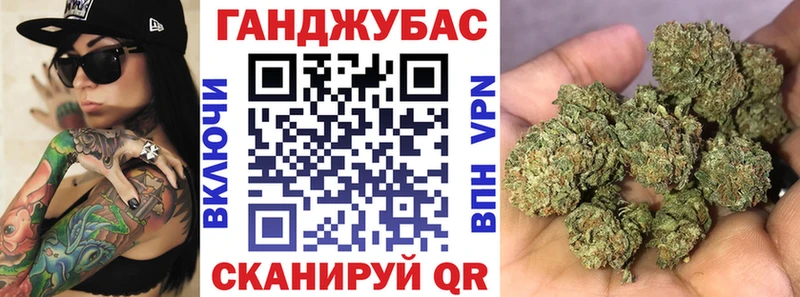 Каннабис индика  Кузнецк 